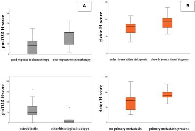 In Situ Analysis of mTORC1/C2 and Metabolism-Related Proteins in Pediatric Osteosarcoma